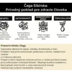 chaga Sibírska Prírodný poklad pre zdravie človeka