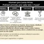 human pro hericium