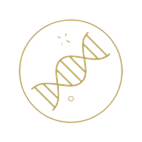 Bunky a DNA noage<